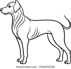 A simple, continuous, one-line illustration of an adorable Dachshund dog. On a vector illustration with a white backdrop, they are isolated.