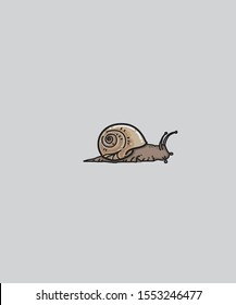 simple and cool snail illustration