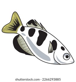simple coral fish vector set isolated on white. animal, sea, ocean, seafood, coral fish, pet, aquarium, yellow, black, white, simple, vector illustration.
