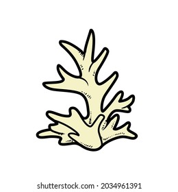 Simple coral object  color variation for coloring page isolated on white background