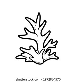 Simple coral object coloring book linear drawing isolated on white background
