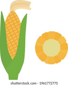 Simple Corn Clipart, Flat Design