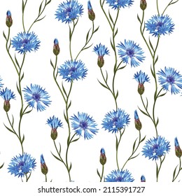 Simple Cornflower wild flowers floral seamless pattern on a white background. 