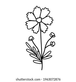 Simple Cosmos flower. Vector illustration in a cute doodle style. Perfect for postcards, social media design, for a packing or a wedding design. Line icon