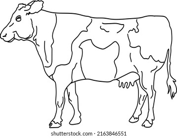 Simple Cow Line Art Design Stock Vector (Royalty Free) 2163846551 ...