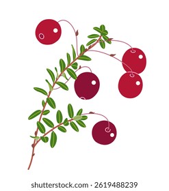 Ramo de cranberry simples com bagas maduras vermelhas e folhas verdes isoladas no fundo branco. Comida natural saudável. Ilustração plana do vetor da planta do pântano de crescimento selvagem.