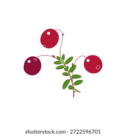 Manojo de arándanos simple con bayas maduras rojas y hojas verdes aisladas sobre fondo blanco. Alimentación natural saludable. Ilustración plana de Vector de planta de pantano de crecimiento salvaje.