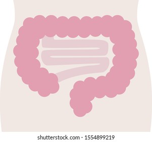 Simple cross section of intestine