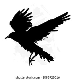 Simple crow silhouette