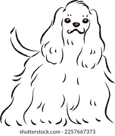 Einfache und süße amerikanische Cocker spaniel-handgezeichnet Ziehung Vektorgrafik