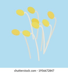 Simple and cute bean sprout illustration