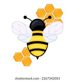 Simple cute bee with honeycombs on a white isolated background. Suit for poster, banner, label.