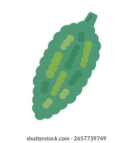 Simple cute bitter gourd illustration material