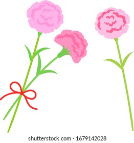 Simple cute bouquet of carnations