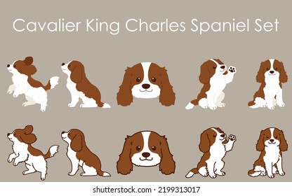 Einfache und süße braune Cavalier King Charles Spaniel Illustrationen Set