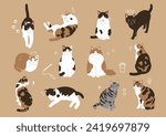 Simple and cute cat illustration set 