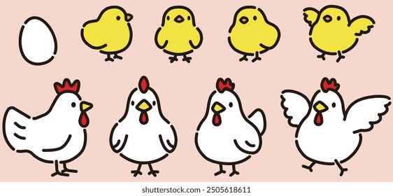 Simple and cute chicken and chick illustration set