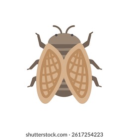 Simple cute cicada illustration material