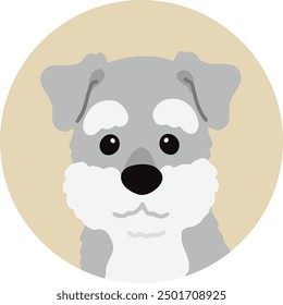 Simple and cute circle icon illustration of Miniature Schnauzer