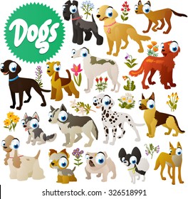 simple cute dog breeds cartoon images: carry blue, retriever, setter, labrador, borzoi, airedale, dalmatian, husky, cocker, spaniel, yorkshire, terrier, shepherd, spitz, bulldog, dingo