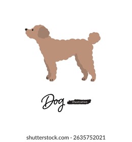 simple and cute Dog illustration_Toy poodle