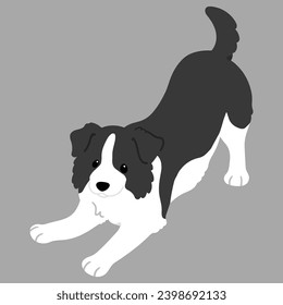 Simple and cute flat colored illustration of Border Collie being playful