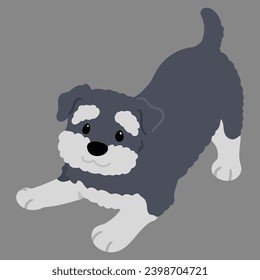 Simple and cute flat colored illustration of Miniature Schnauzer being playful