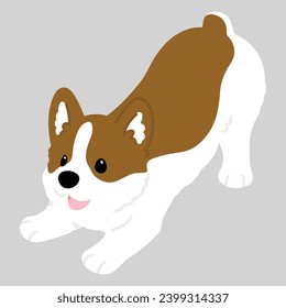 Simple and cute flat colored illustration of Corgi being playful