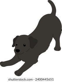 Simple and cute flat colored illustration of black Labrador Retriever being playful