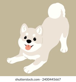 Simple and cute flat colored illustration of white Shiba Inu being playful