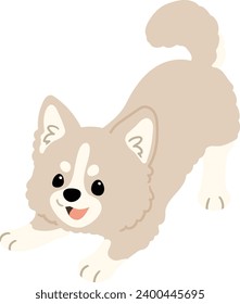 Einfache und süße, farbige Illustration von weißem Chihuahua, spielerisch
