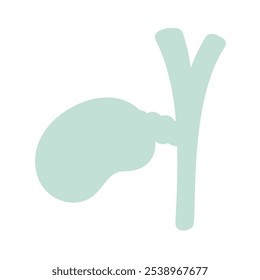 Simple and cute gallbladder illustration