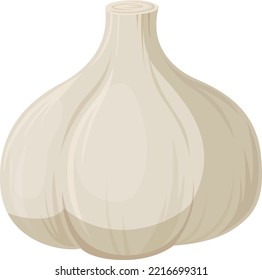 Simple and cute garlic illustration