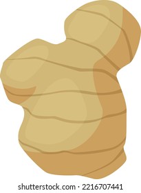 Ilustración de jengibre simple y linda