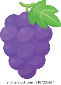 Simple and cute grape illustration