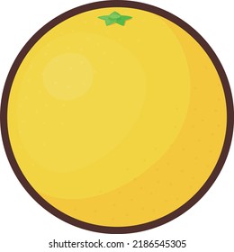 Simple and cute grapefruit illustration