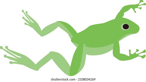 Simple and cute green frog illustration
