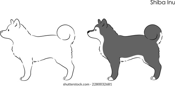 Simple and cute hand drawn line art illustration of Shiba Inu in side view