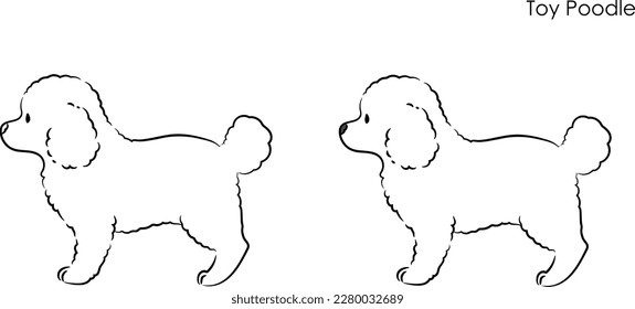 Simple and cute hand drawn line art illustration of Toy Poodle in side view