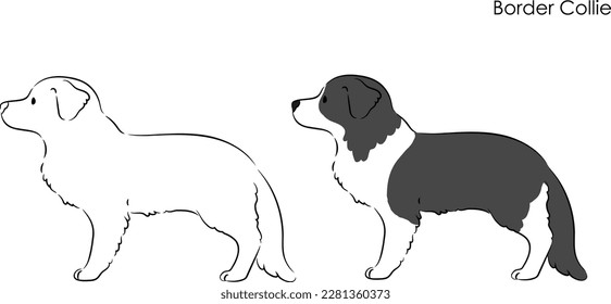 Simple and cute hand drawn line art illustration of Border Collie in side view