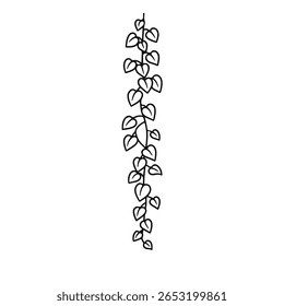 Simple cute hand-drawn vector icon line illustration of a single vertically hanging vine with dense overlapping heart-shaped leaves in minimalist black outline style on white background