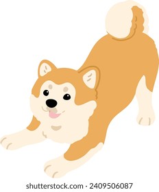 Simple and cute illustration of Akita Dog being playful flat colored