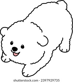 Simple and cute illustration of Bichon Frise being playful