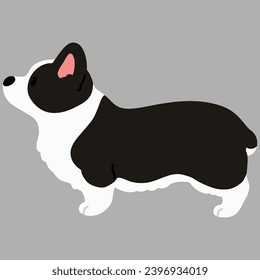Einfache und süße Illustration von schwarzem Corgi in Seitenansicht, flach gefärbt