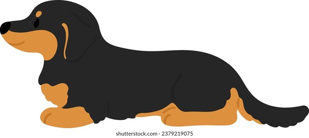 Simple and cute illustration of dark colored Miniature Dachshund lying down flat colored