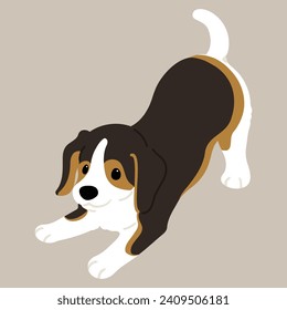 Einfache und süße Illustration des dunkelfarbenen Beagles, spielerisch in flacher Farbe