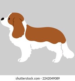 Ilustración simple y linda del inglés Cocker Spaniel en vista lateral de color plano