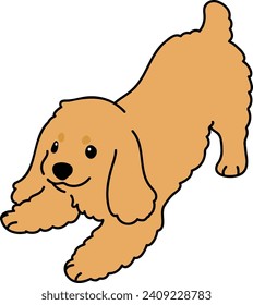 Simple and cute illustration of English Cocker Spaniel being playful