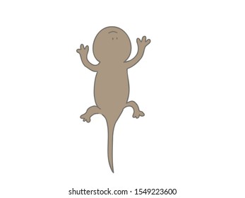 A simple and cute illustration of a gecko.