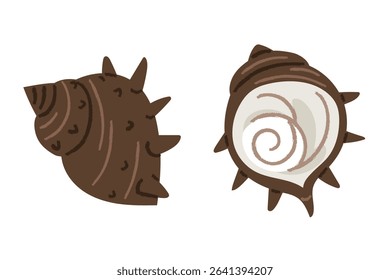A simple and cute illustration of a horned conch. Two views of the conch's outer and inner surfaces.